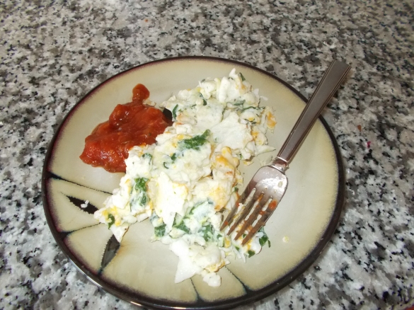 Egg Omelette 